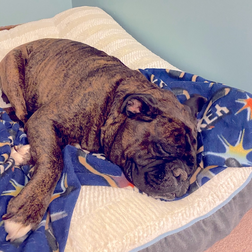 Meet your Posher, Tonya